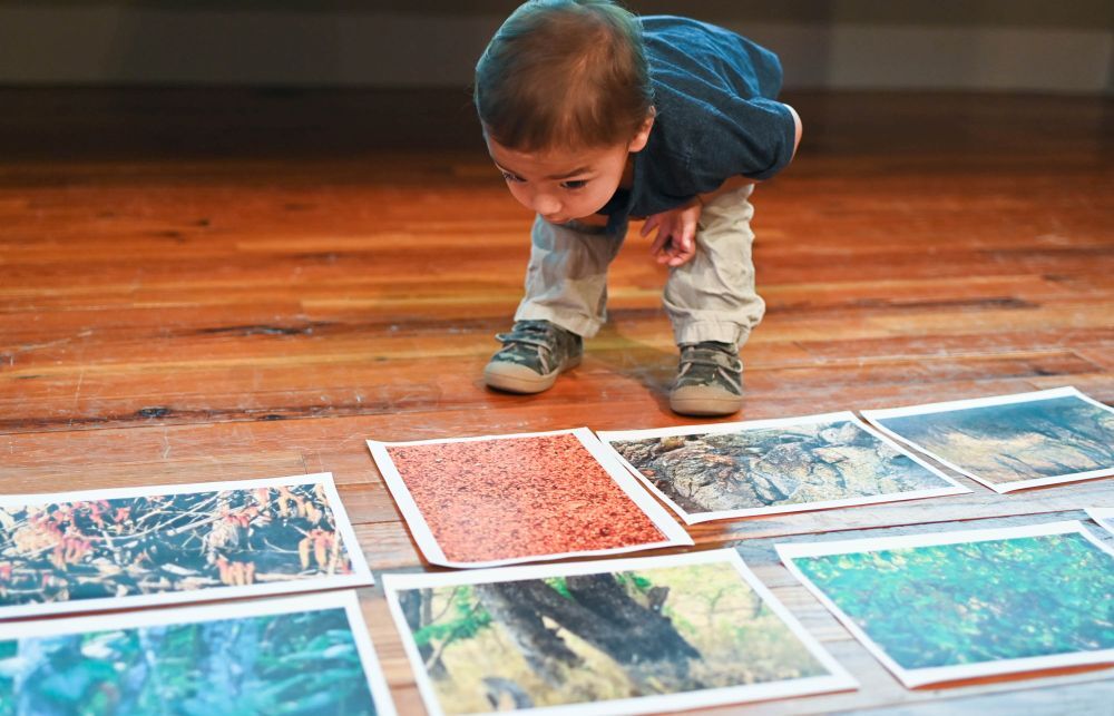 Camouflage art: Taking a closer look